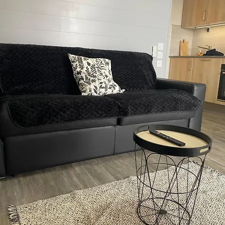 Le Carpe Diem T2 Piscine Climatisation Parking