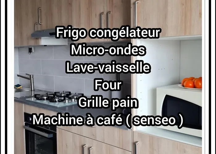 Le Carpe Diem T2 Piscine Climatisation Parking